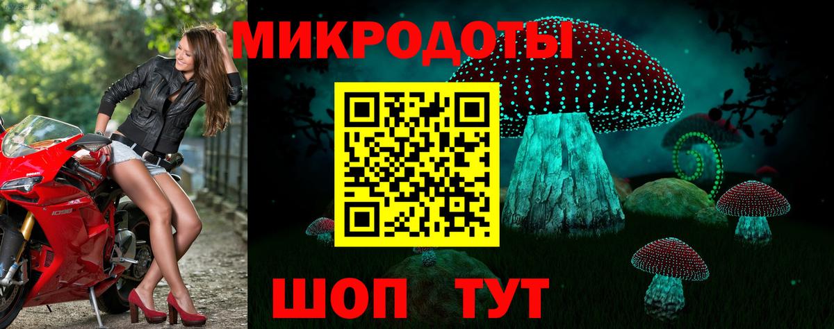 Псилоцибиновые грибы Psilocybe  Вход с VPN  Псилоцибиновые грибы Psilocybine cubensis  Лосино-Петровский 